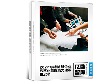 2022專精特新企業數碼化管理能力建設白皮書